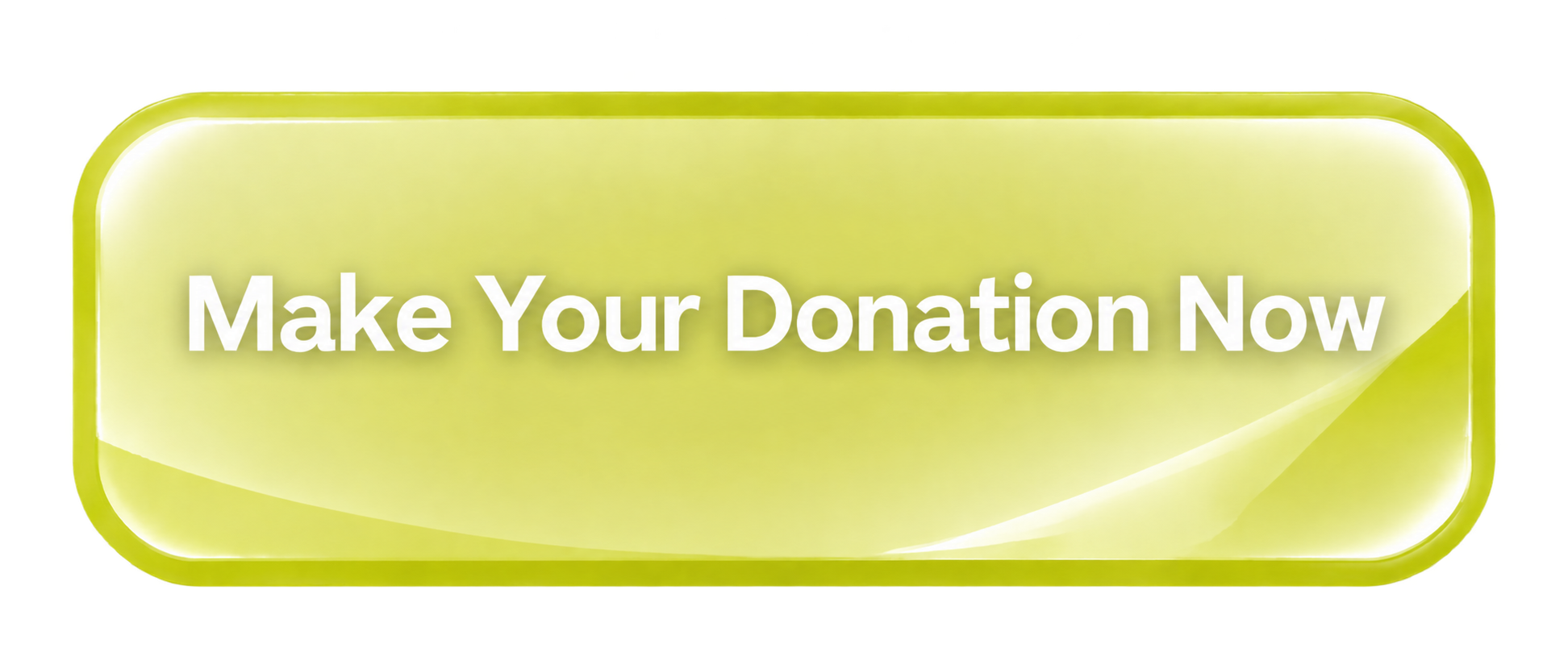 Make your Donation Now